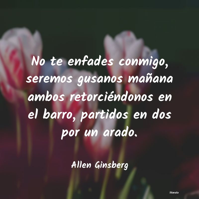 Frases de Allen Ginsberg