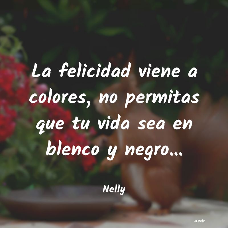 Frases de Nelly