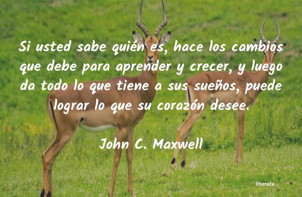 frases de John C. Maxwell