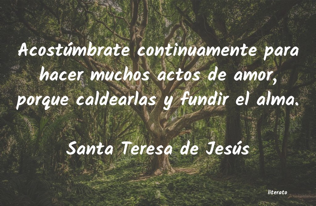 Frases de Santa Teresa de Jesús