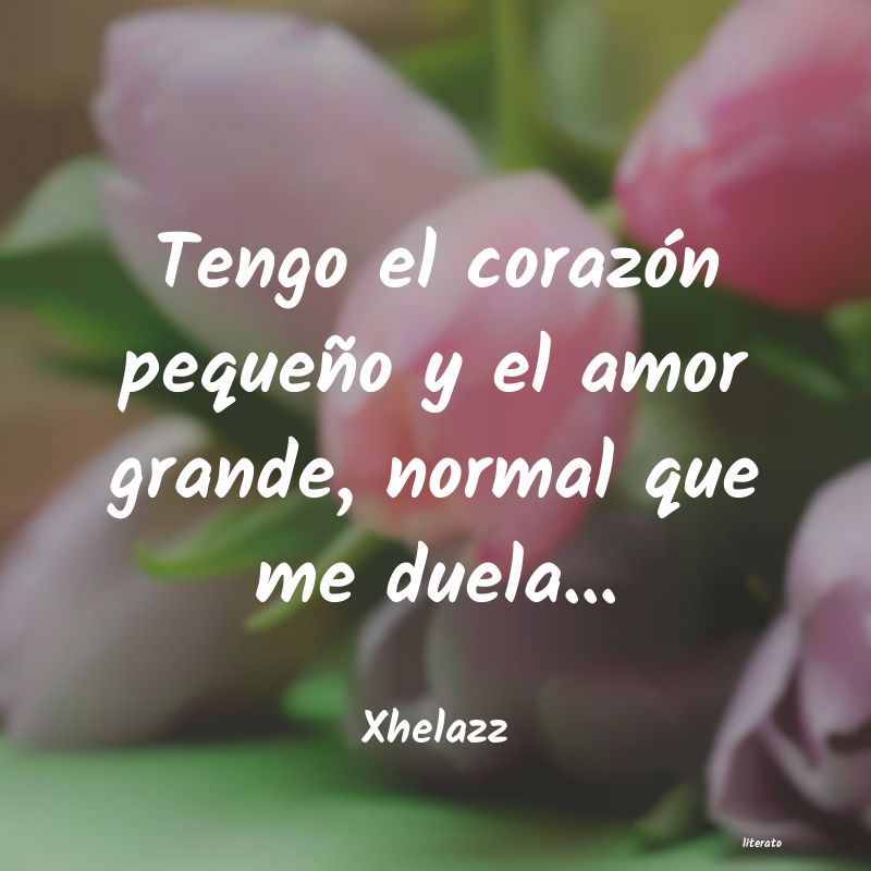 frases de Xhelazz