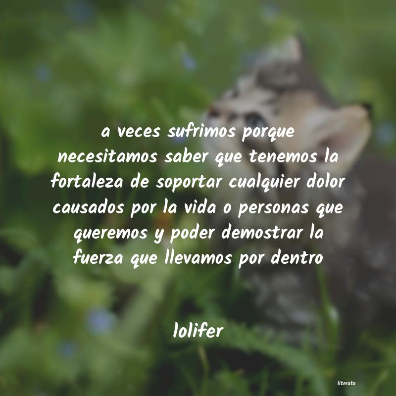 Frases de lolifer