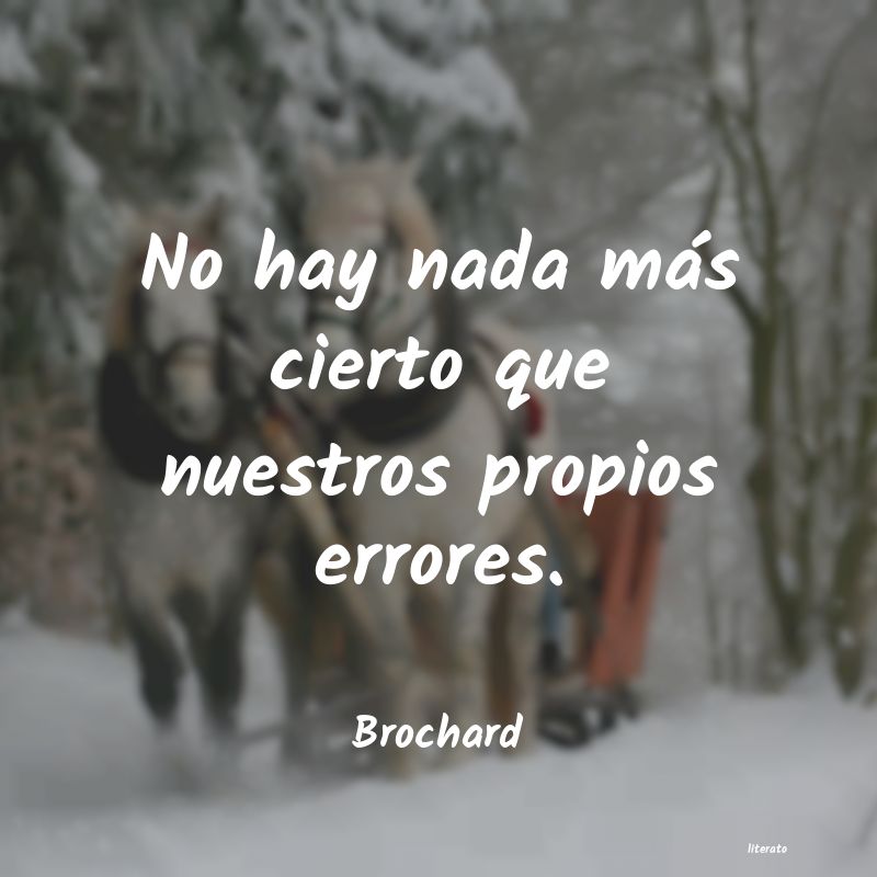 frases de errores cometidos