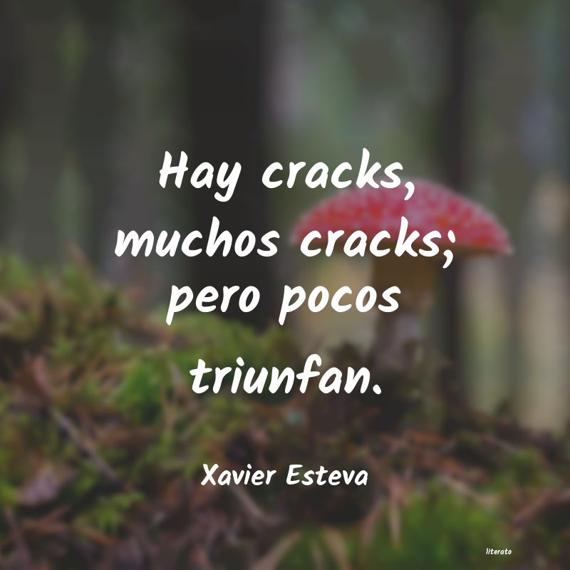 Frases de Xavier Esteva