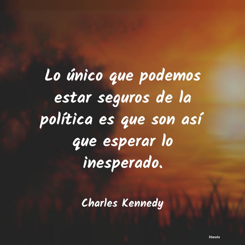 Frases de Charles Kennedy