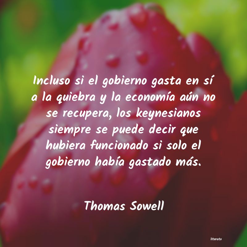 Frases de Thomas Sowell