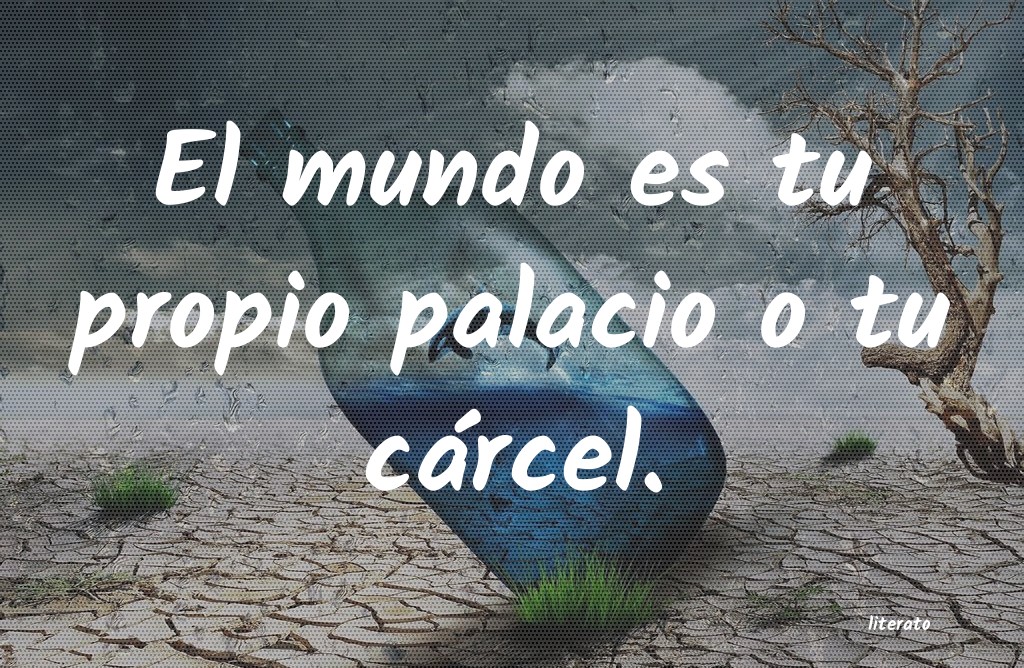 frases