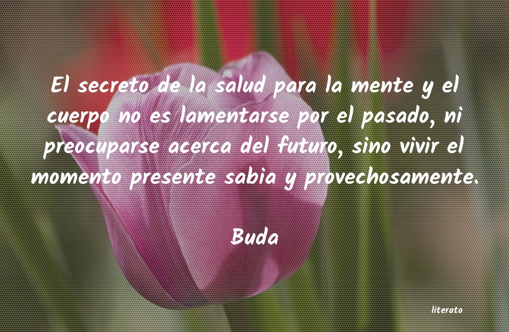 Frases de Buda