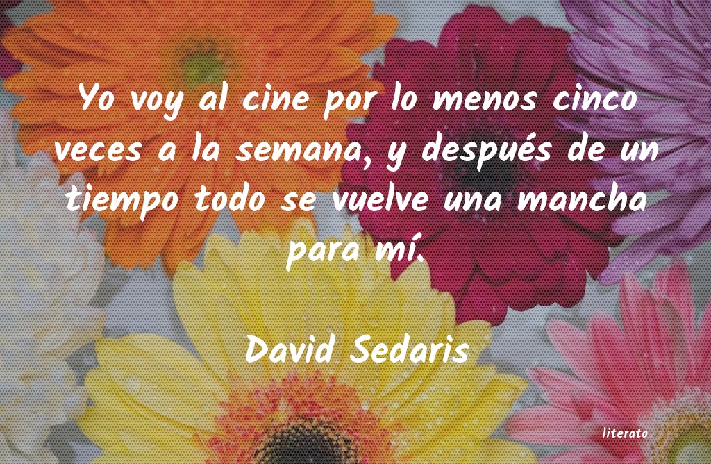 Frases de David Sedaris