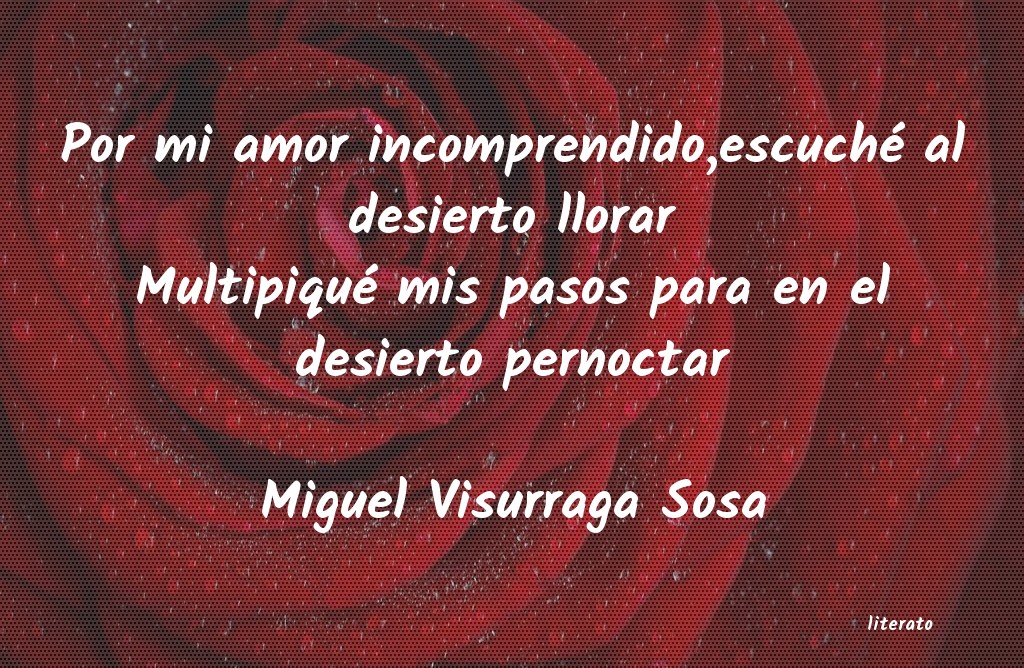 amor incomprendido frases