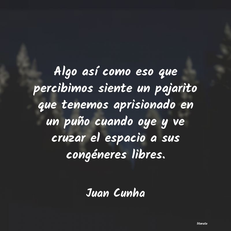 frases de Juan Cunha