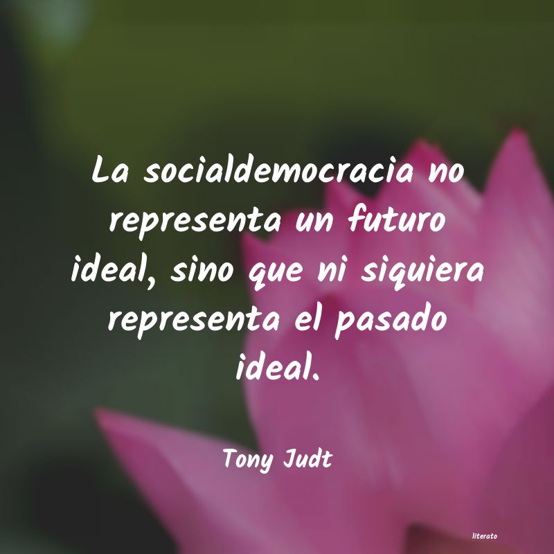 frases de Tony Judt