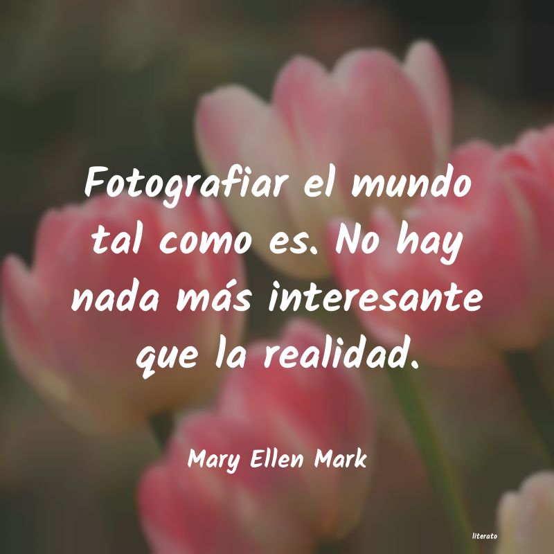 frases de Mary Ellen Mark