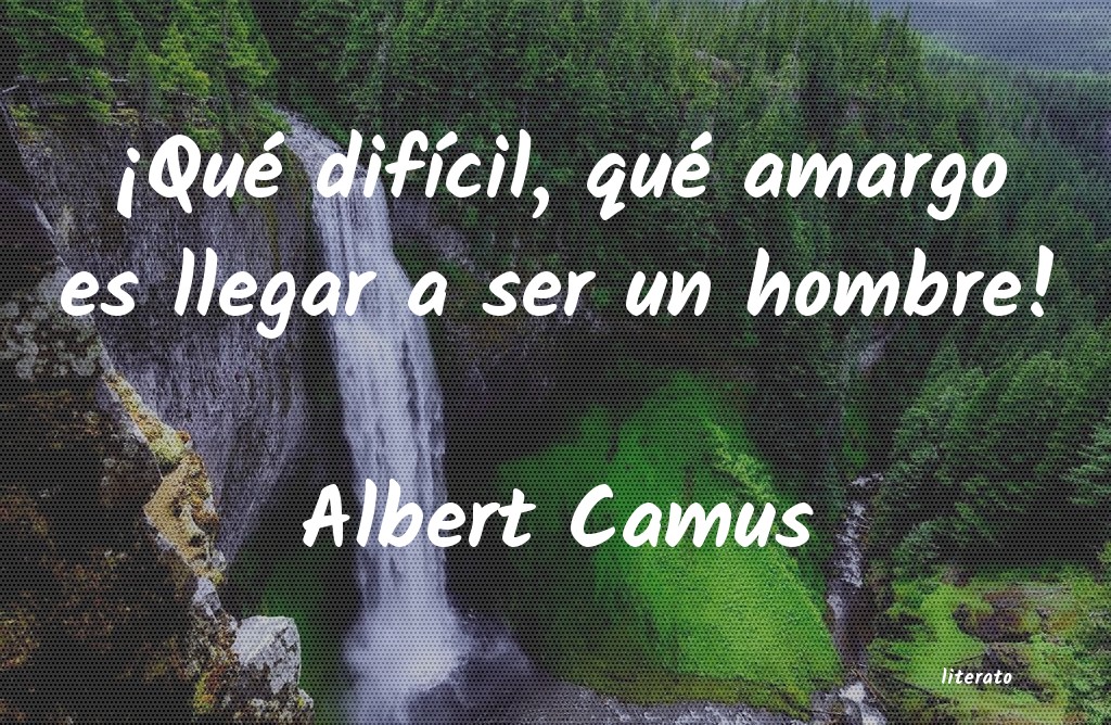frases de Albert Camus