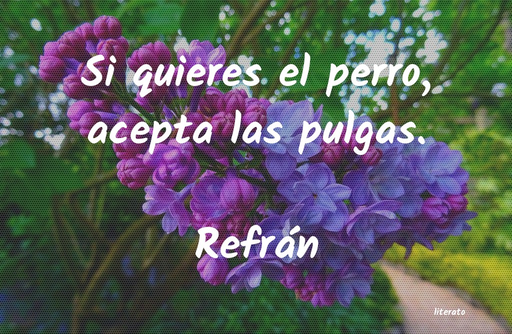 Frases de Refrán