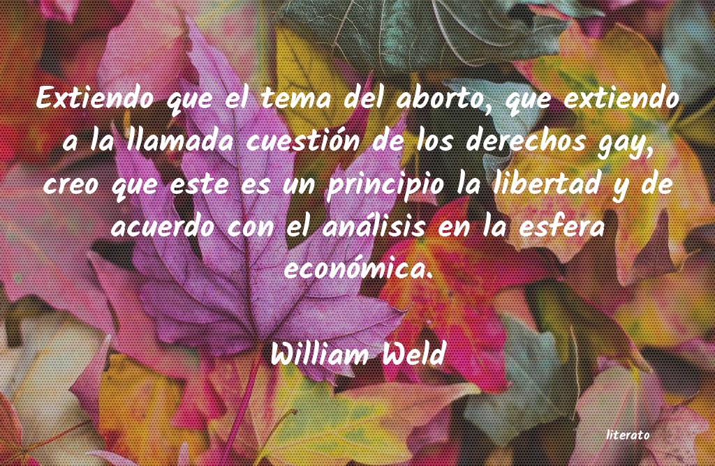 Frases de William Weld