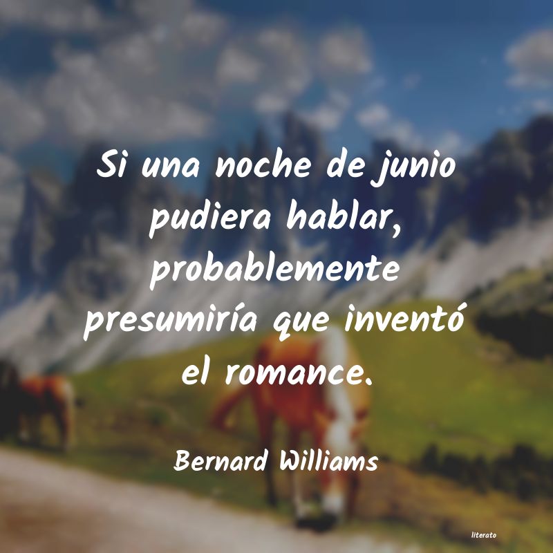 Frases de Bernard Williams