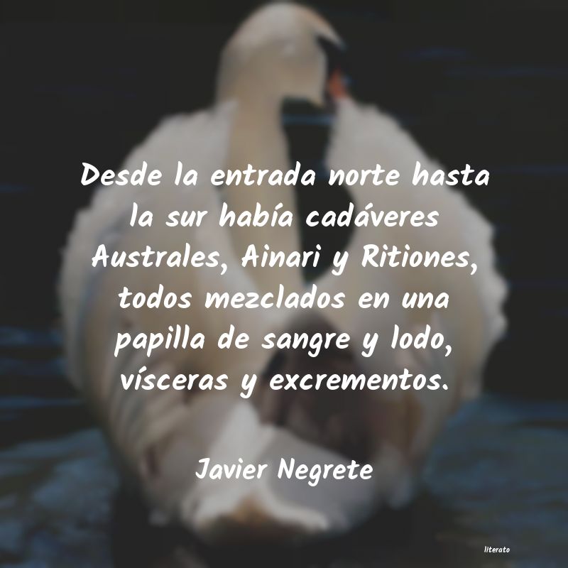 Frases de Javier Negrete