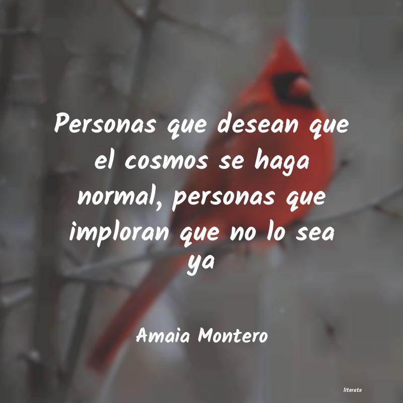 frases de Amaia Montero