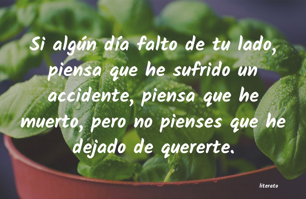 frases