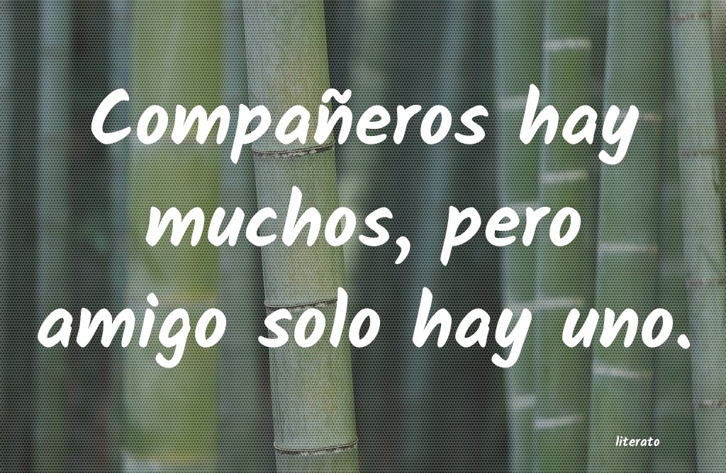 frases