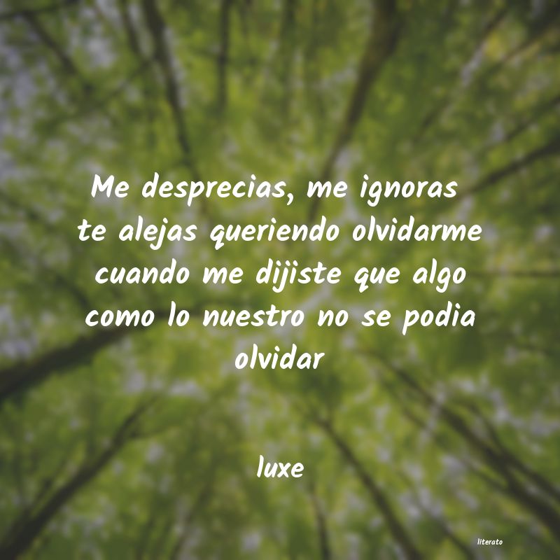 frases de luxe