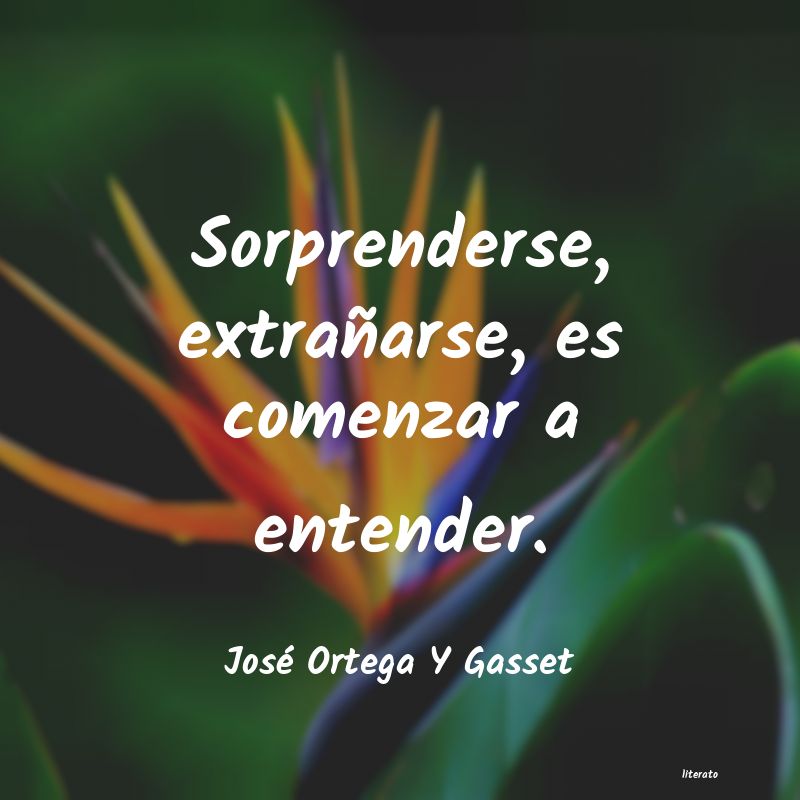 frases de JosÃ© Ortega Y Gasset