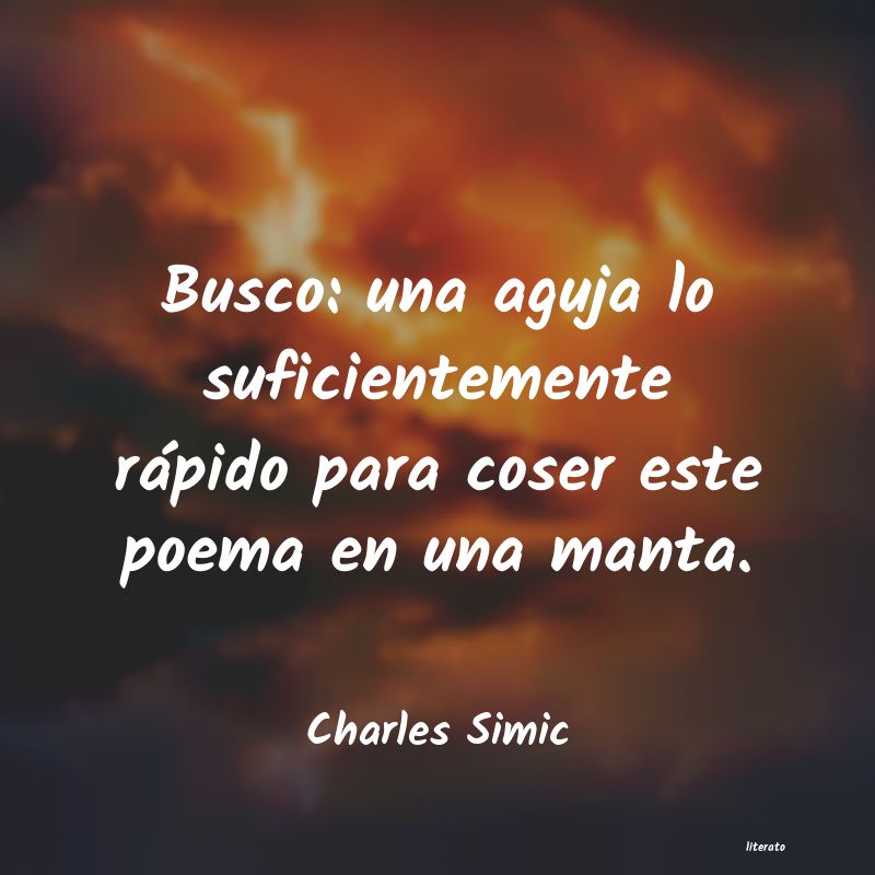 frases de Charles Simic