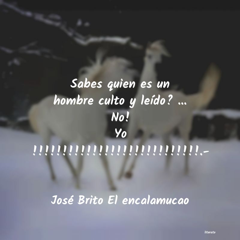 Frases de José Brito El encalamucao