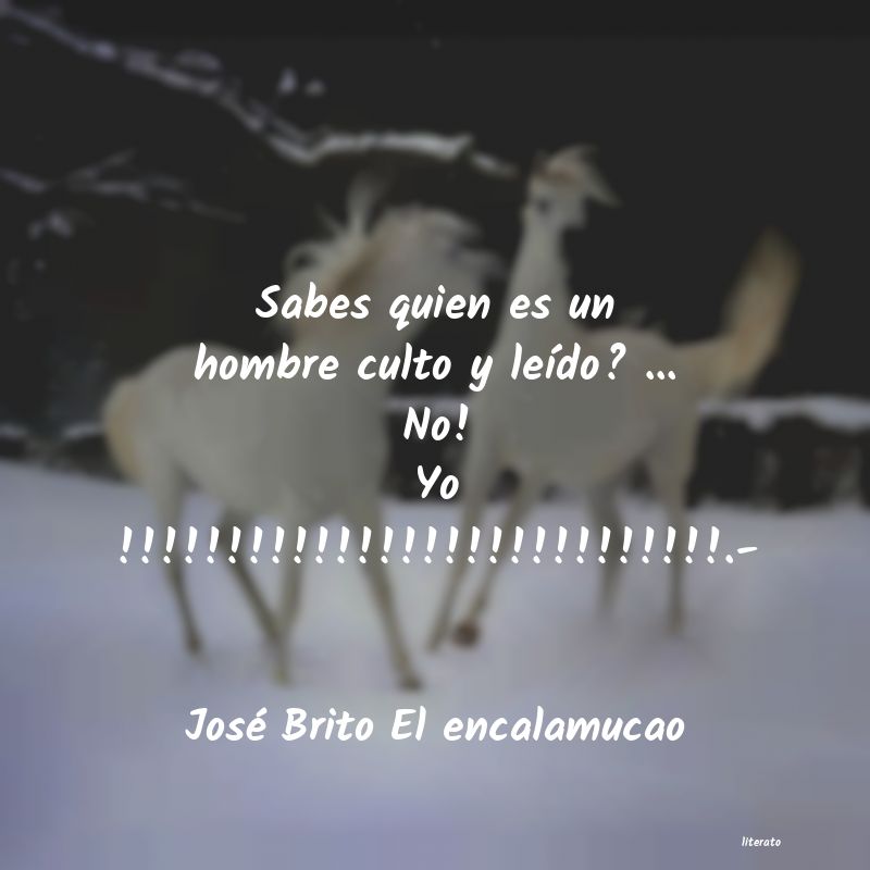 frases de José Brito El encalamucao