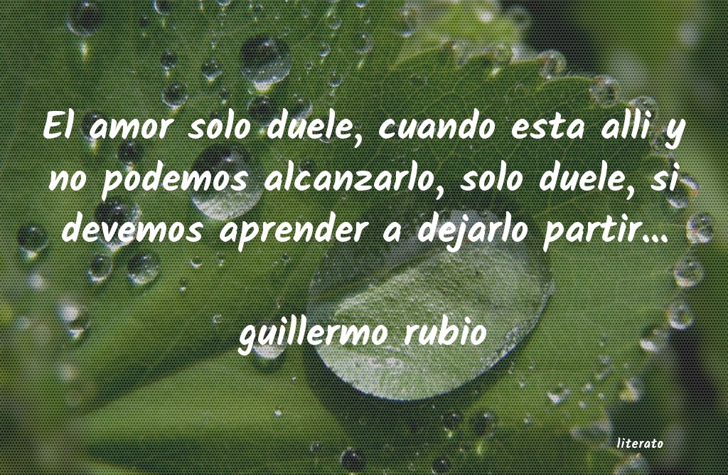 Frases de guillermo rubio