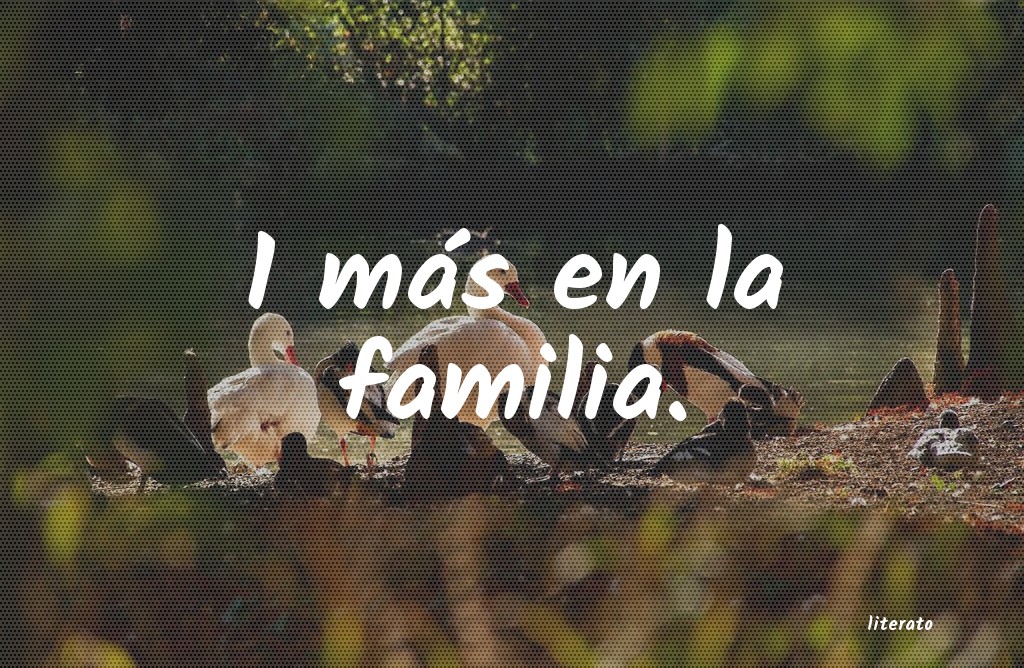 frases
