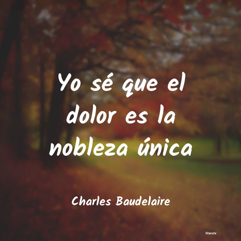 frases de Charles Baudelaire