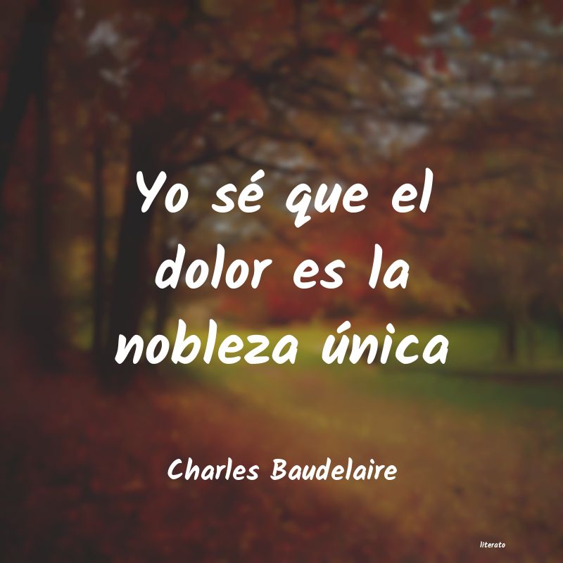 Frases de Charles Baudelaire