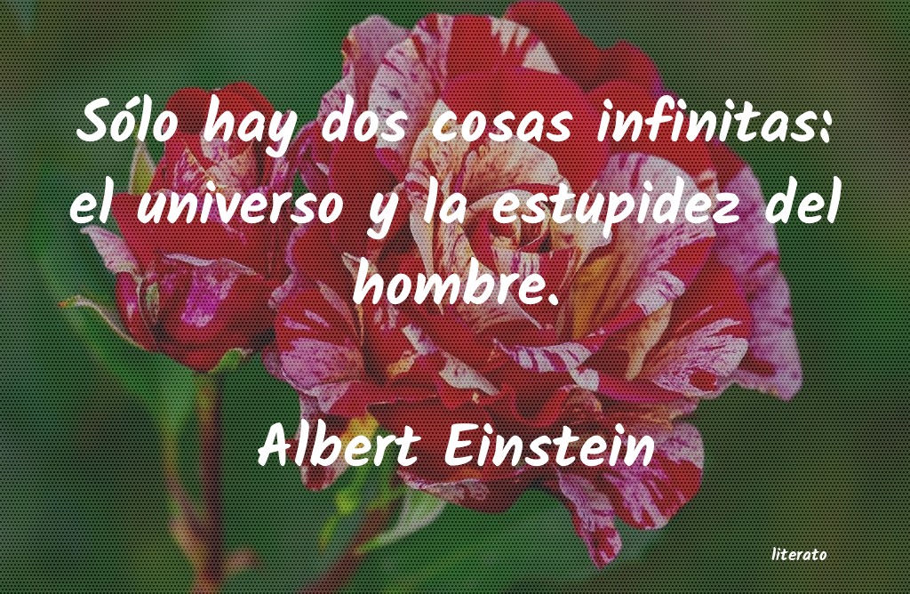 frases de Albert Einstein