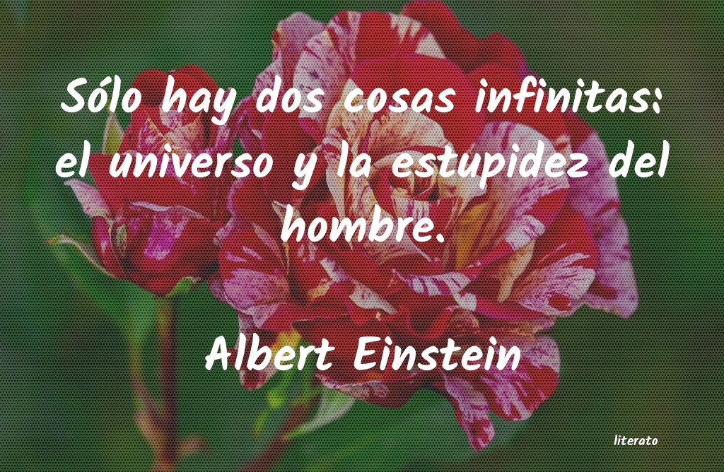 Frases de Albert Einstein