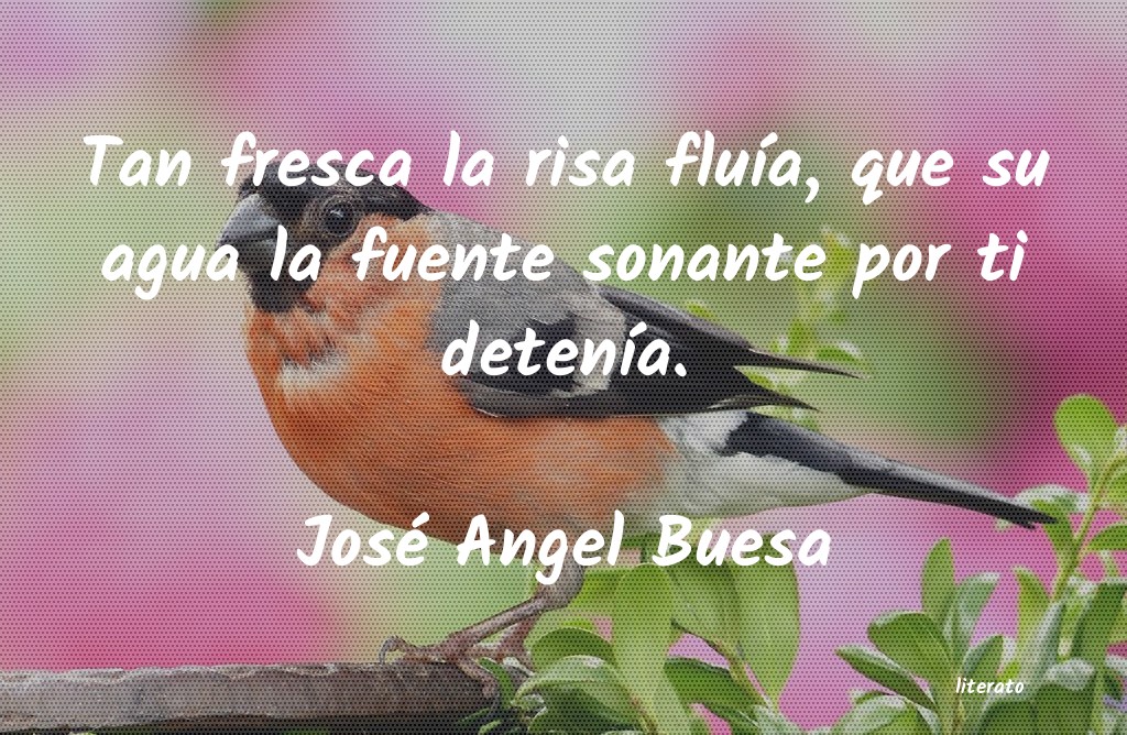 Frases de José Angel Buesa