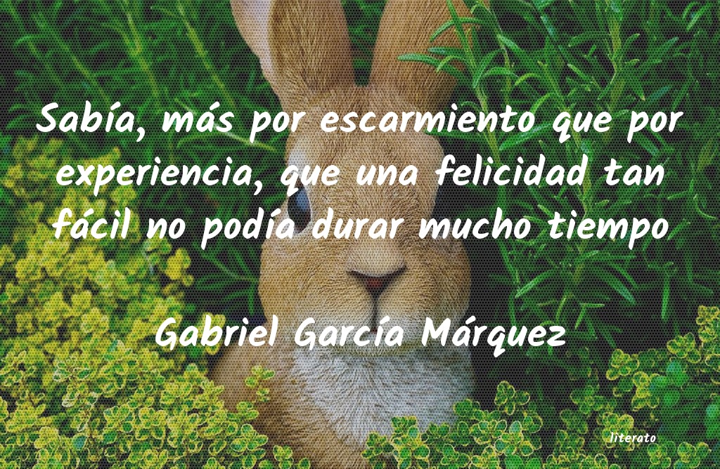 frases de Gabriel GarcÃa Márquez