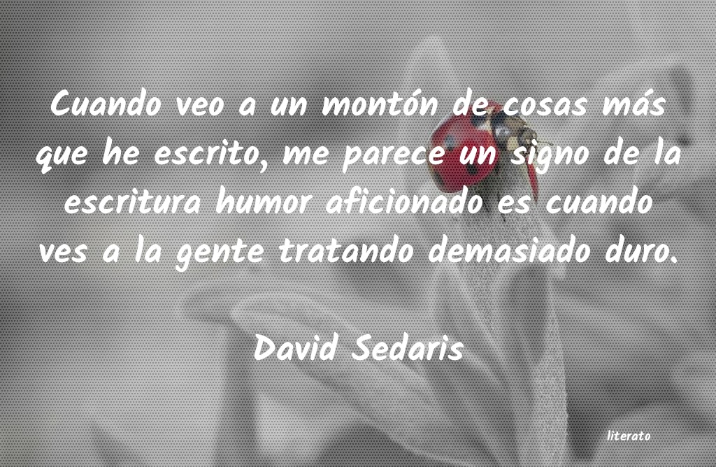 frases de David Sedaris