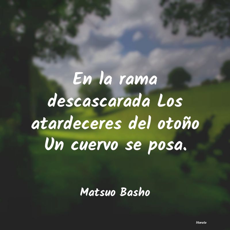 Frases de Matsuo Basho