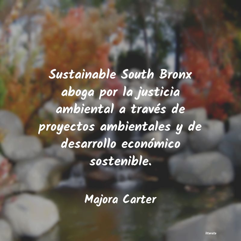 Frases de Majora Carter