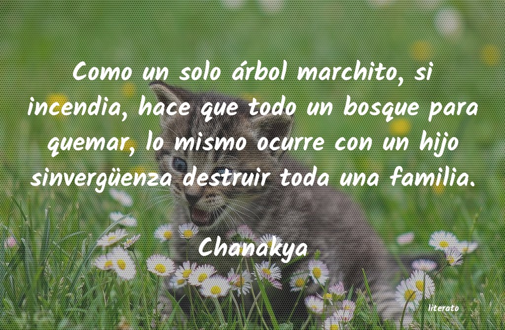 frases de Chanakya