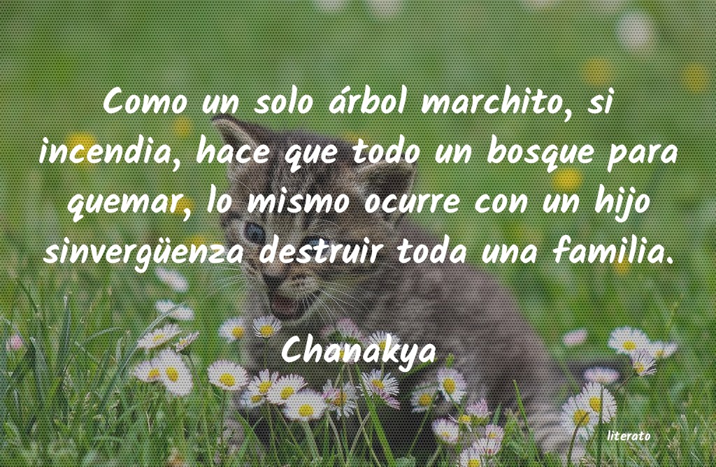 Frases de Chanakya