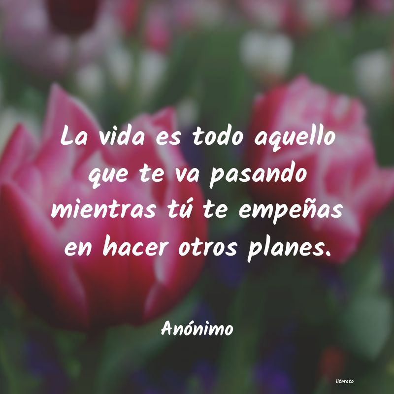 frases