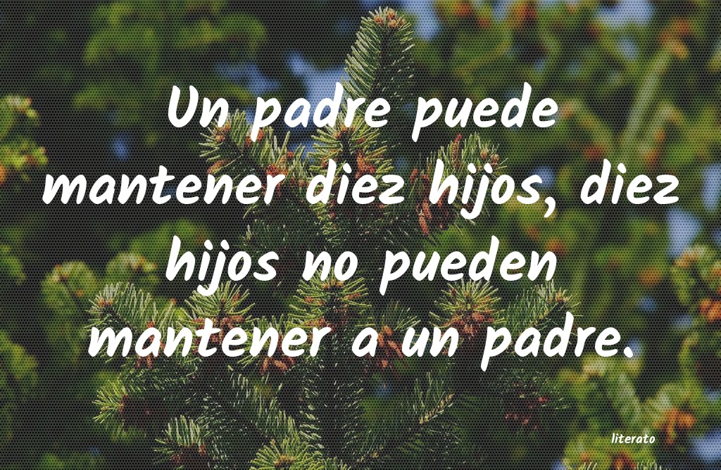 frases