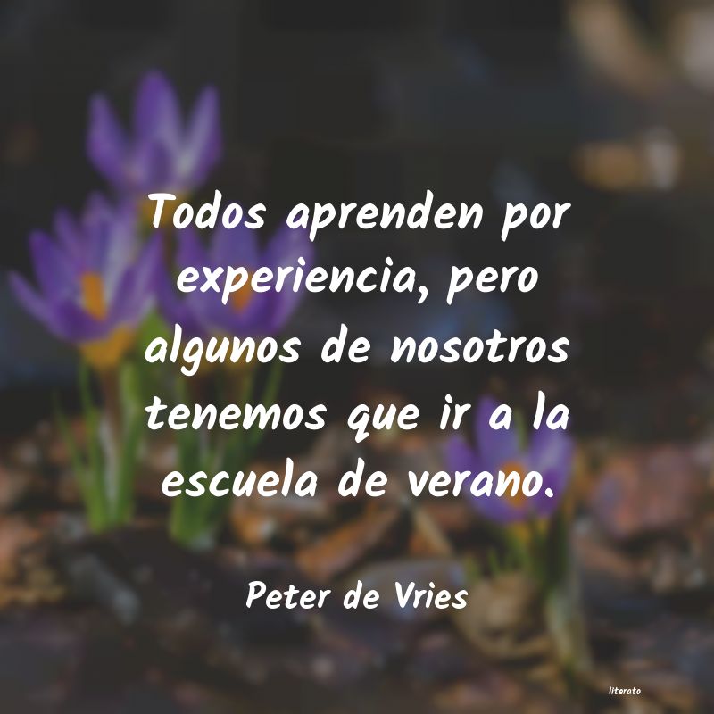 Frases de Peter de Vries