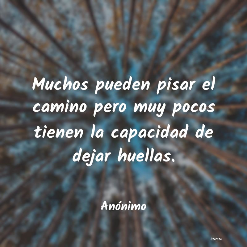 frases de capacidad