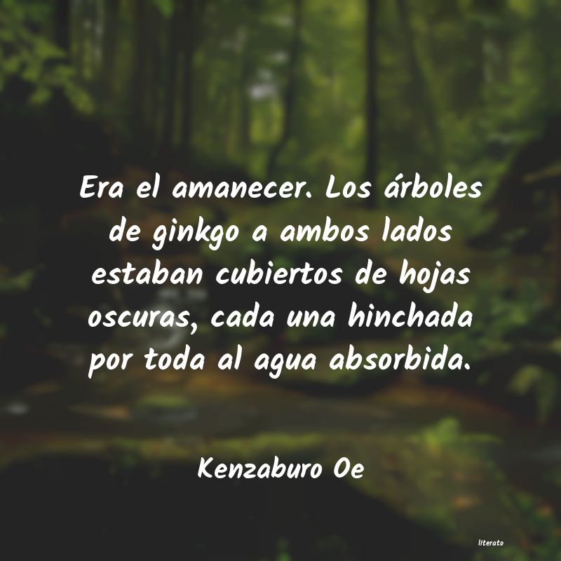frases de Kenzaburo Oe