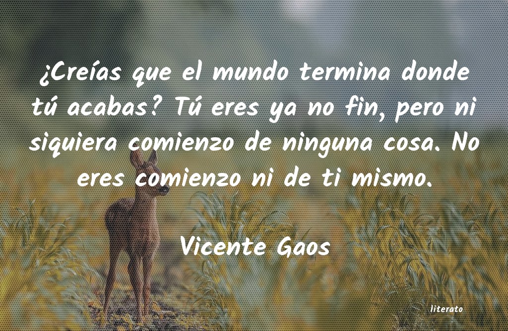 Frases de Vicente Gaos