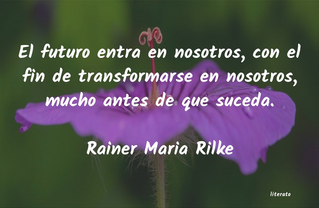 frases de Rainer Maria Rilke